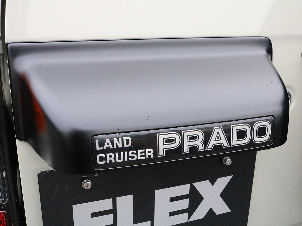 ナンバー灯カバー。