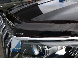 バグガード。