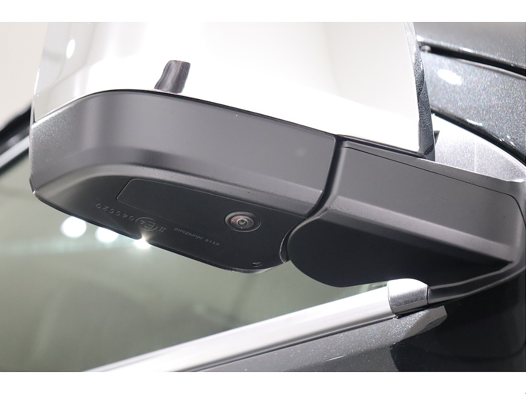 パノラミックビューモニタも装備されてます！