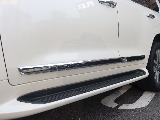 ZX標準メッキサイドモール！