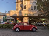 フォルクスワーゲン タイプⅠ(20枚目)